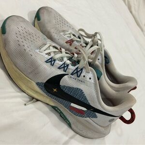 Nike Pegasus 5 Trail Shoes